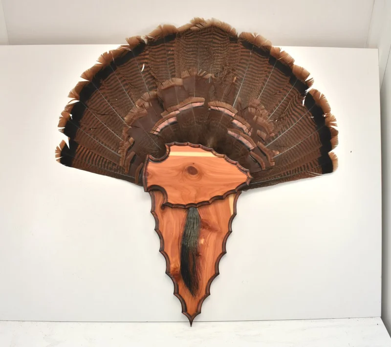 turkey mounts comparison