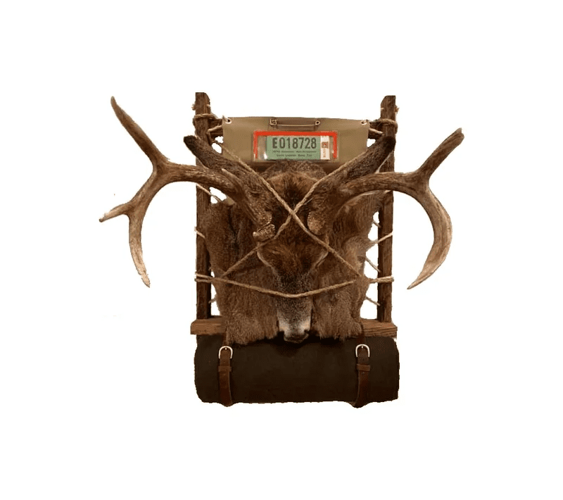 custom taxidermy mounts